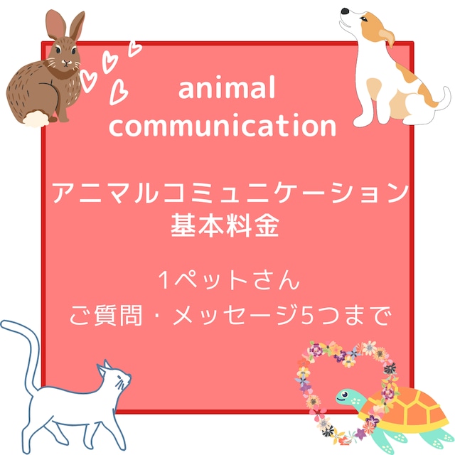 アニマルコミュニケーション基本料金 1ペットさんご質問・メッセージ5つまで